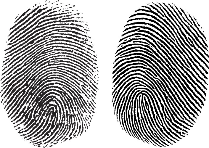 Finger prints vector image