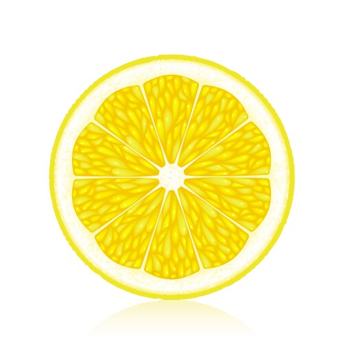 Lemon vector image