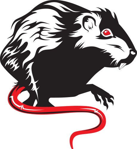 Rat vector image