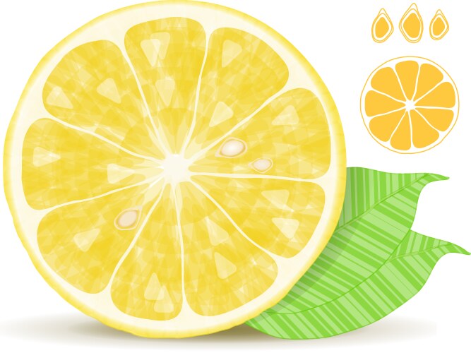 Lemon slice vector image