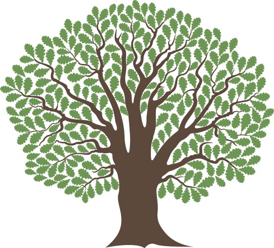 Oak tree vector image