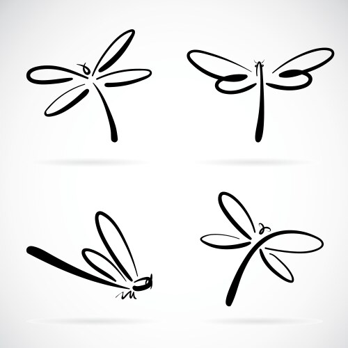 Dragonfly vector image