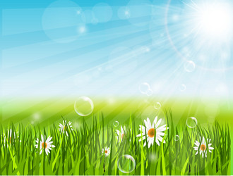 spring vector image