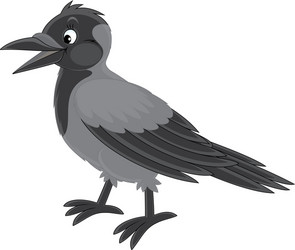 crow vector image