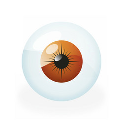 Eye vector