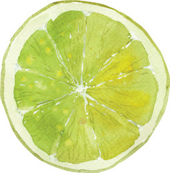 lime vector image