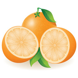 orange vector image