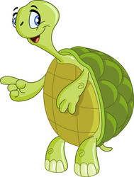 turtle vector image