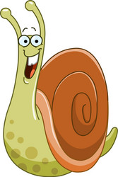 snail vector image