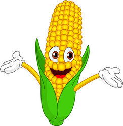 corn vector image