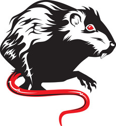 rat vector image