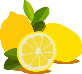 lemon vector image