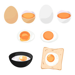 egg vector image