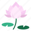 aquatic plant, blooming, corbel, flower, lotus, lotus blossom, tropical 