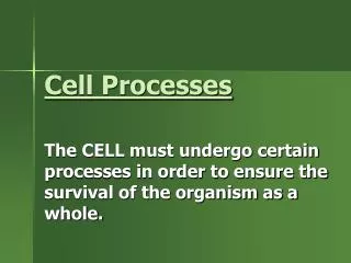 Cell Processes