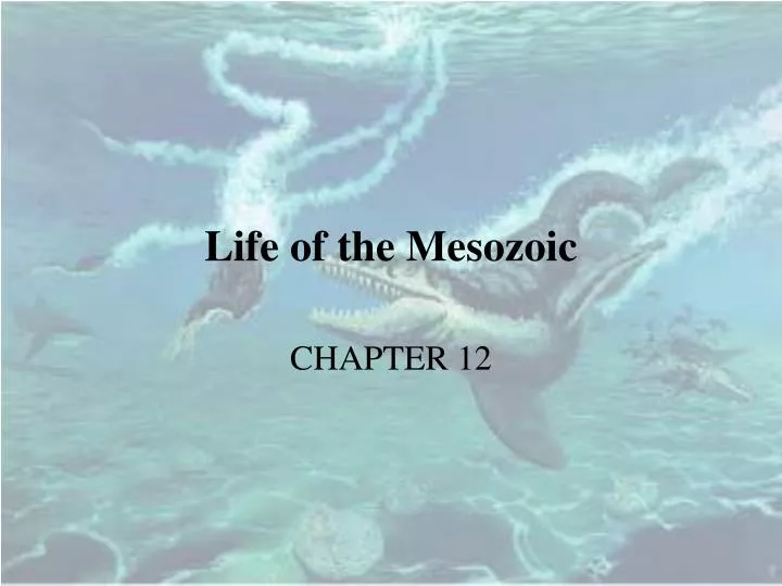 life of the mesozoic