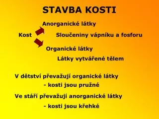 STAVBA KOSTI