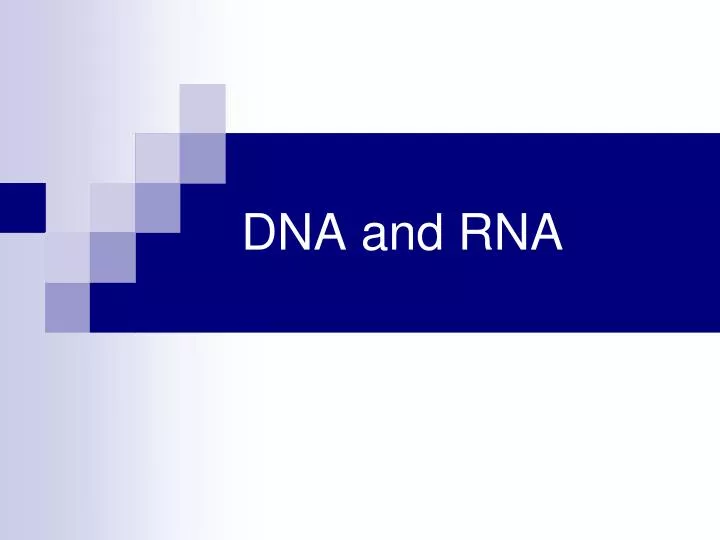 dna and rna