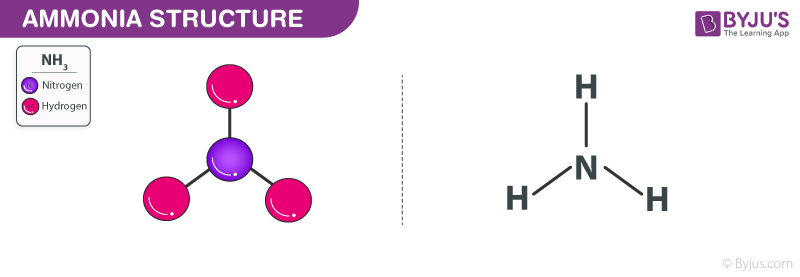 Ammonia Structure