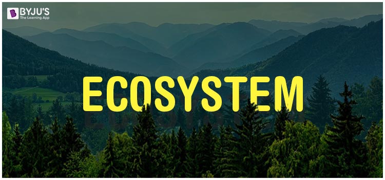 Ecosystem