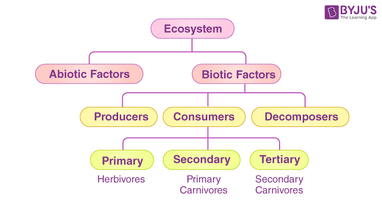 Ecosystem