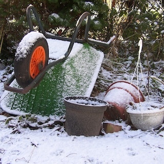 Winter Gardening Tasks