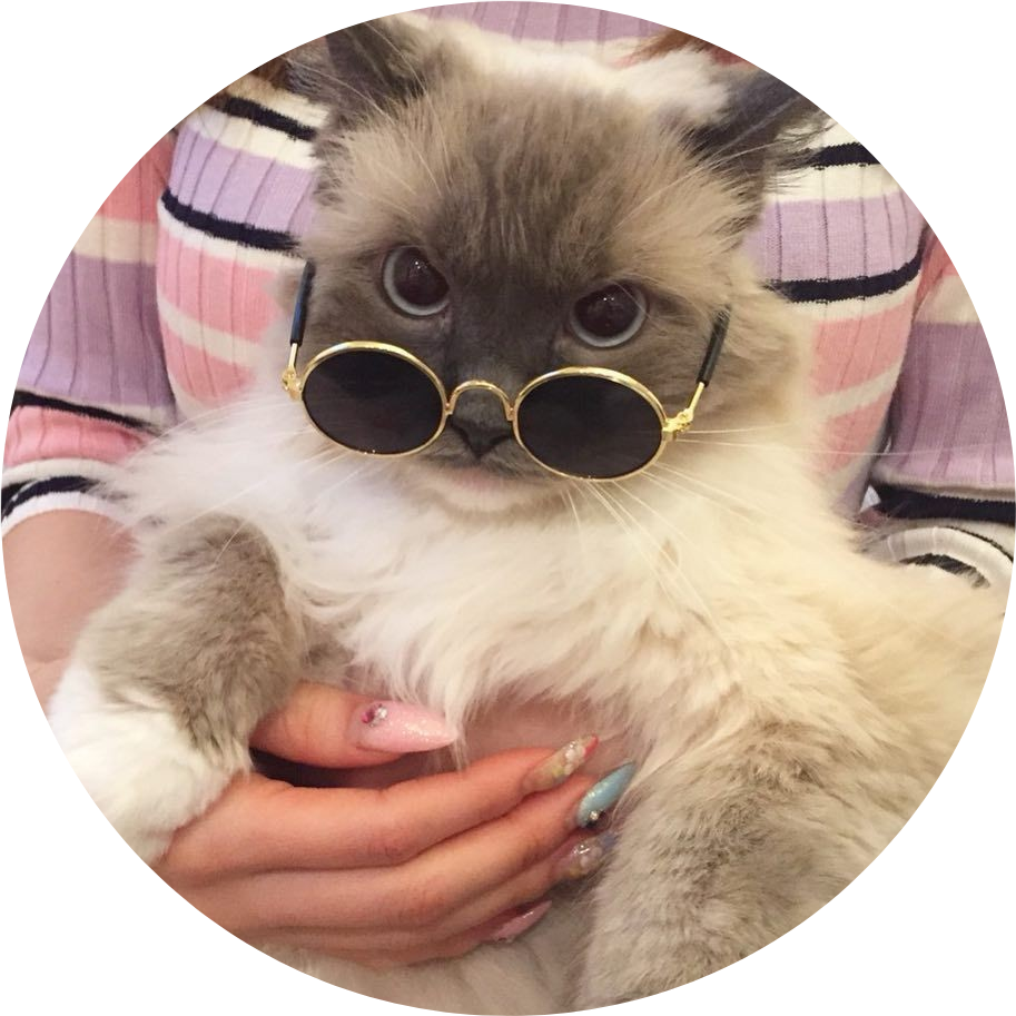 tumblr aesthetic cat kitty fluffy cataesthetic cats...