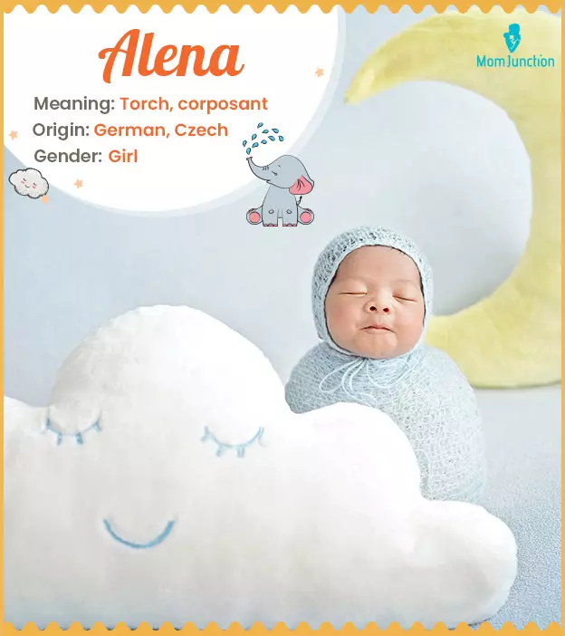 Alena Name, Meaning, Origin, History, And Popularity_image