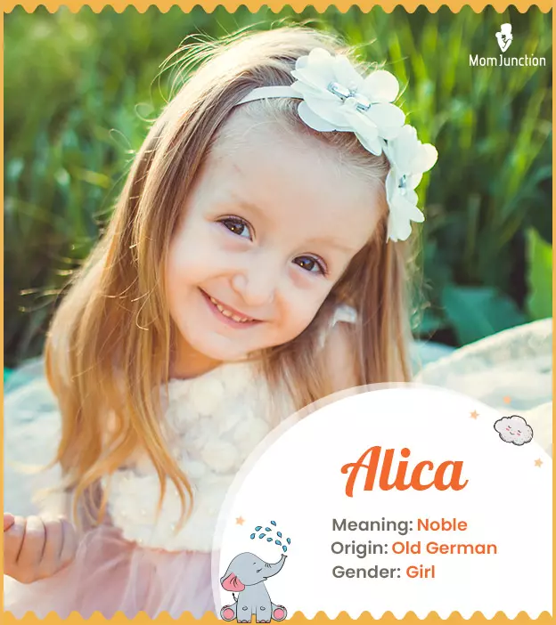 Alica Name Meaning, Origin, History, And Popularity_image