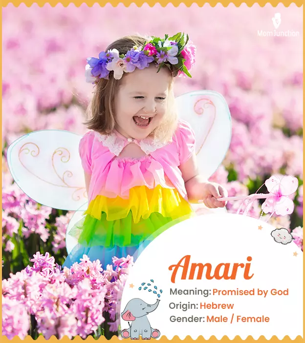 Amari Name, Meaning, Origin, History, And Popularity_image