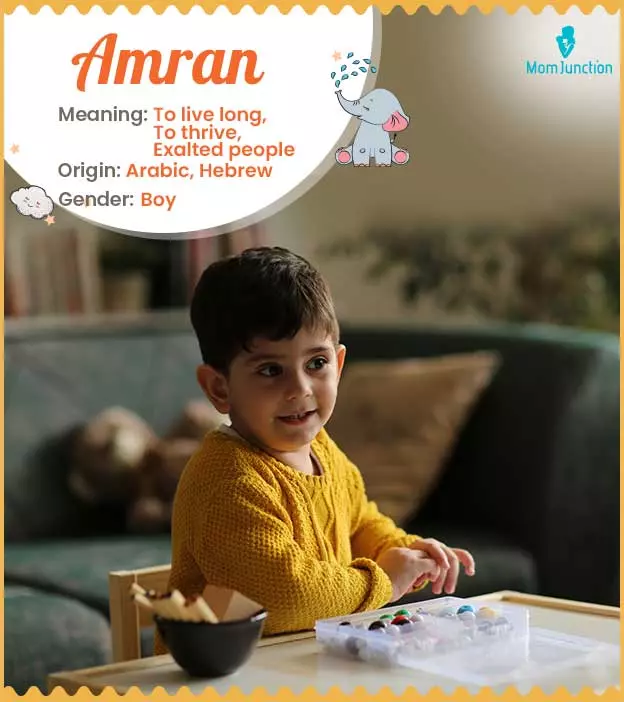 Amran Name Meaning, Origin, History, And Popularity_image