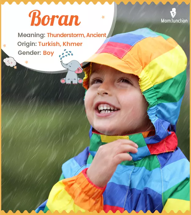 Boran Name, Meaning, Origin, History, And Popularity_image