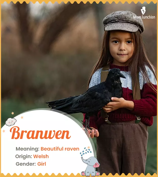 Branwen Name Meaning, Origin, History, And Popularity_image