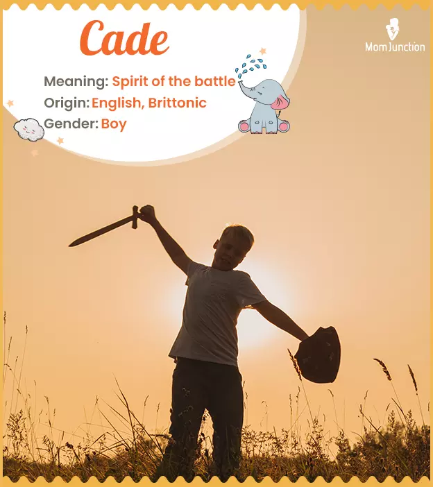 Cade: Name Meaning, Origin, History, And Popularity_image