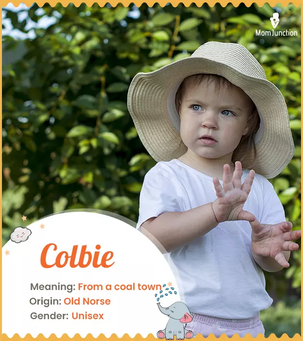 Colbie Name Meaning, Origin, History, And Popularity_image