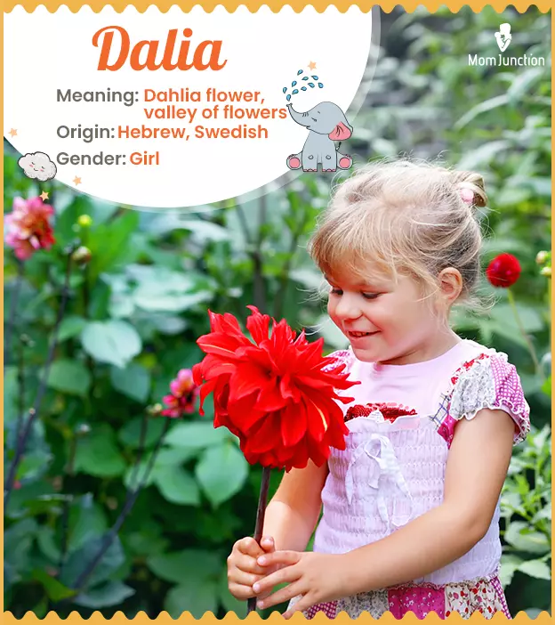 Dalia: Name Meaning, Origin, History, And Popularity_image