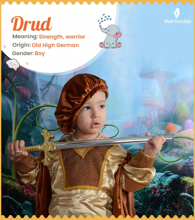 Drud Name Meaning, Origin, History, And Popularity_image