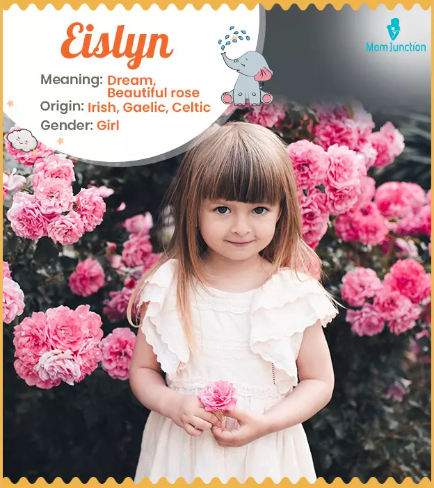 eislyn: Name Meaning, Origin, History, And Popularity_image