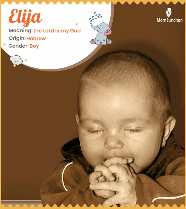 Elija Name Meaning, Origin, History, And Popularity_image