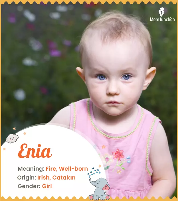 Explore Enia: Meaning, Origin & Popularity_image