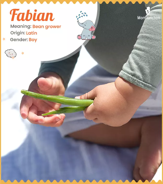 fabian: Name Meaning, Origin, History, And Popularity_image