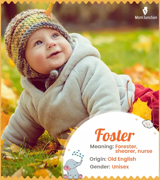 Foster Name Meaning, Origin, History, And Popularity_image