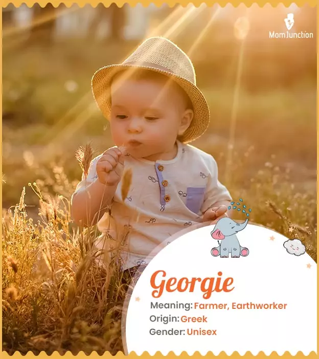 georgie: Name Meaning, Origin, History, And Popularity_image