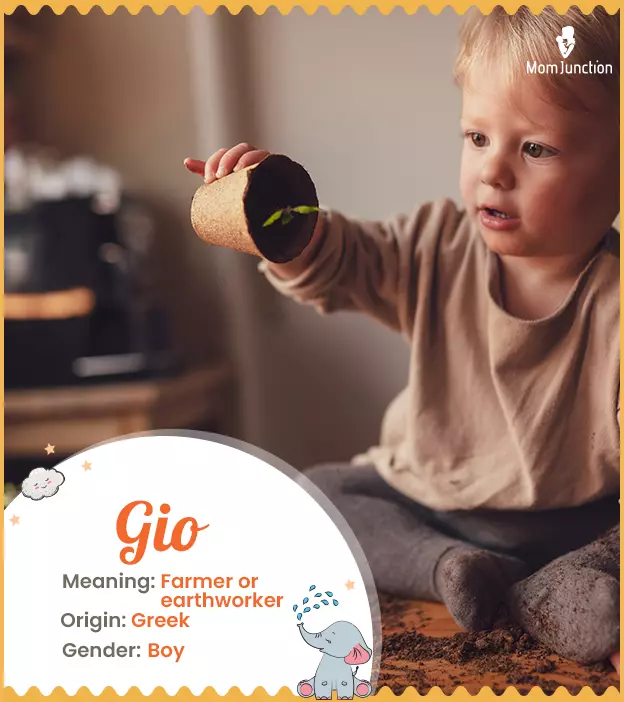 Gio Name Meaning, Origin, History, And Popularity_image