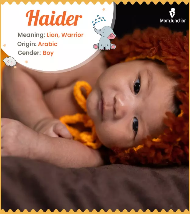 Haider Name, Meaning, Origin, History, And Popularity_image