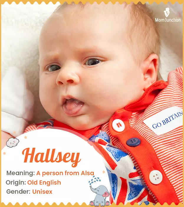 Hallsey Meaning, Origin, History, And Popularity_image