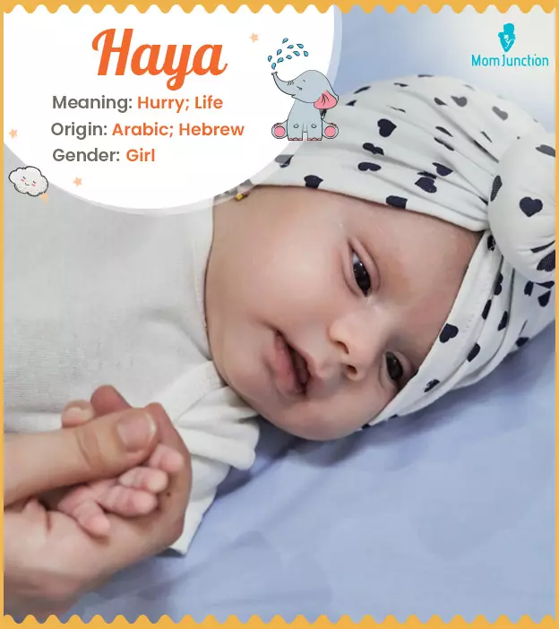 Haya Name Meaning, Origin, History, And Popularity_image