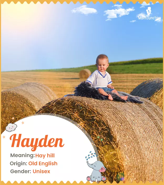 Hayden Name, Meaning, Origin, History, And Popularity_image