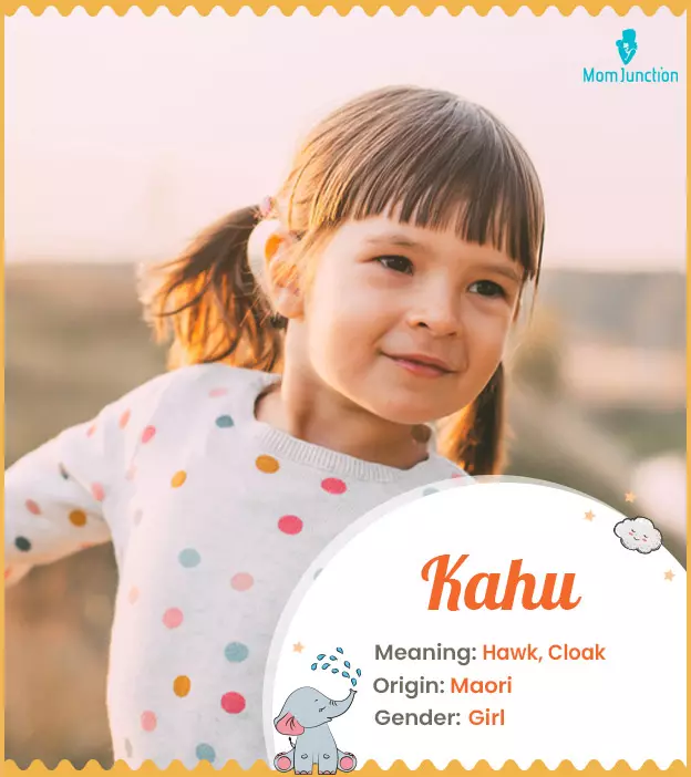 Kahu: Name Meaning, Origin, History, And Popularity_image