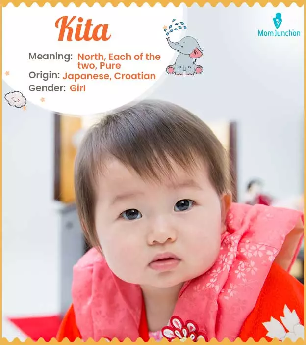 Explore Kita: Meaning, Origin & Popularity_image